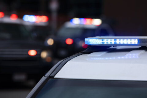 Fetus discovered in pond in Leesburg, police say