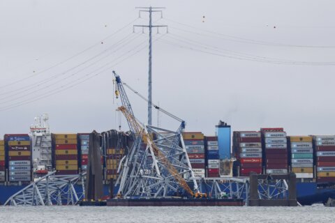 Maritime terminal prepares for influx of redirected ships as Baltimore bridge cleanup continues