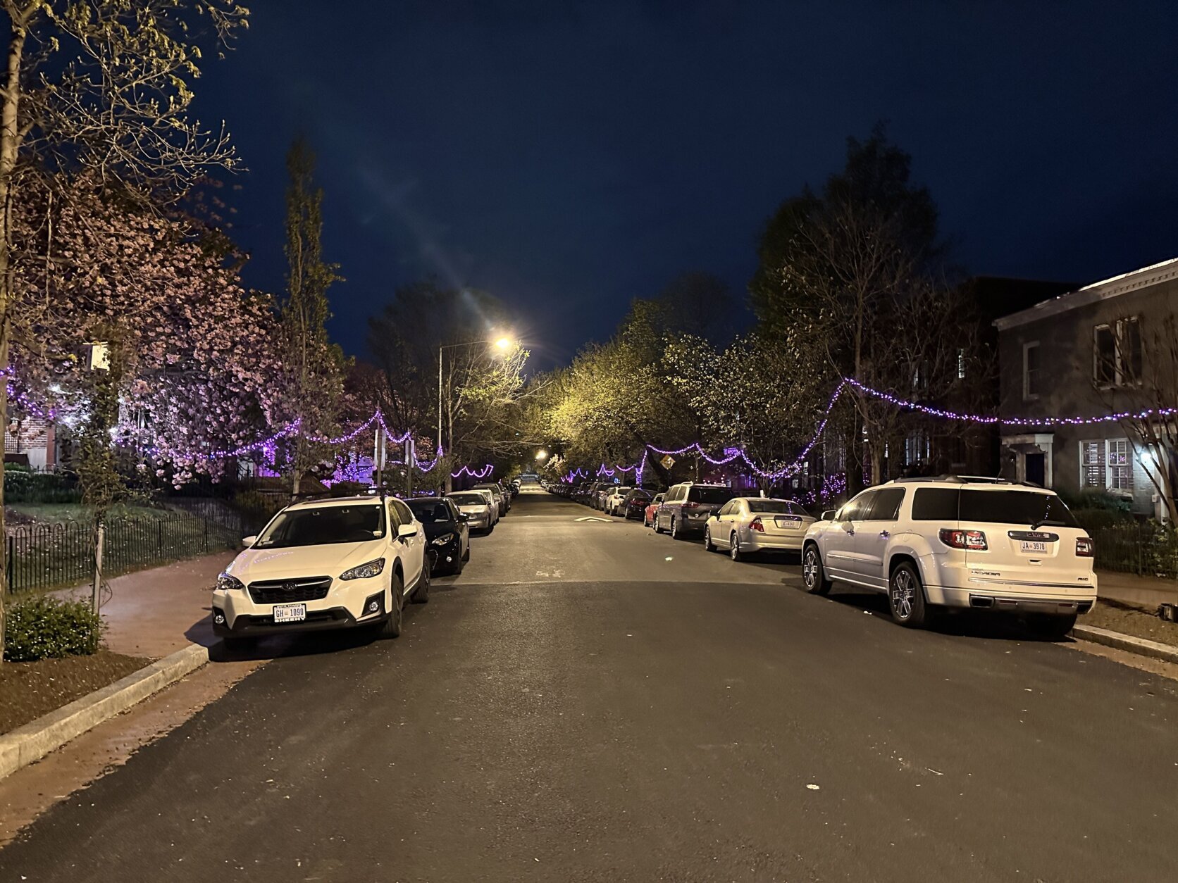 <p>Cherry blossom designs adorn this D.C. neighborhood.</p>